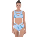 Dinosaur , Cute, Pastel, Bandaged Up Bikini Set 