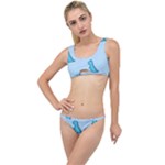 Dinosaur , Cute, Pastel, The Little Details Bikini Set