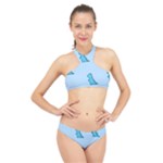 Dinosaur , Cute, Pastel, High Neck Bikini Set