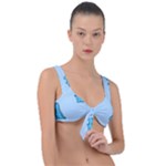 Dinosaur , Cute, Pastel, Front Tie Bikini Top