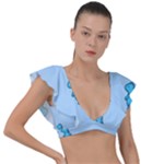 Dinosaur , Cute, Pastel, Plunge Frill Sleeve Bikini Top