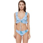 Dinosaur , Cute, Pastel, Low Cut Ruffle Edge Bikini Set