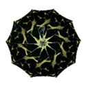 Automatic Folding Umbrella with Case (Large) 