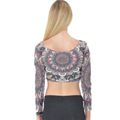 Long Sleeve Crop Top 