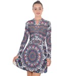 Pattern Nature Long Sleeve Panel Dress