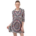 Pattern Nature Mini Skater Shirt Dress