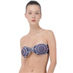 Pattern Nature Classic Bandeau Bikini Top 