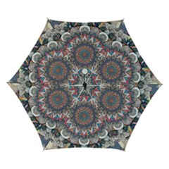 Pattern Nature Automatic Folding Umbrella with Case (Small) from ArtsNow.com