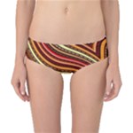 Waves Pattern Abstract Neutrals Classic Bikini Bottoms