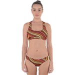 Waves Pattern Abstract Neutrals Cross Back Hipster Bikini Set