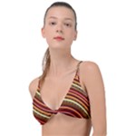 Waves Pattern Abstract Neutrals Knot Up Bikini Top