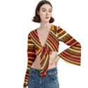 Trumpet Sleeve Cropped Top 