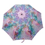 Cells Fluid Bubbles Folding Umbrellas