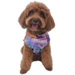 Cells Fluid Bubbles Dog Sweater