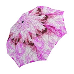 Folding Umbrella 