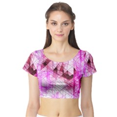 Short Sleeve Crop Top 