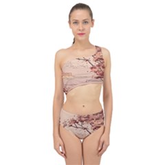 Spliced Up Two Piece Swimsuit 