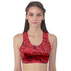 Fitness Sports Bra 