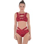 Red Roses , Red Buds, Red Roses Bandaged Up Bikini Set 