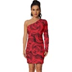 Red Roses , Red Buds, Red Roses Long Sleeve One Shoulder Mini Dress