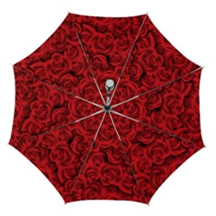 Red Roses , Red Buds, Red Roses Automatic Folding Umbrella with Case (Medium) from ArtsNow.com