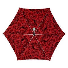 Red Roses , Red Buds, Red Roses Automatic Folding Umbrella with Case (Small) from ArtsNow.com