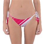 Red White Teal Stripes Reversible Bikini Bottoms