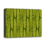 Fern Texture Nature Leaves Deluxe Canvas 16  x 12  (Stretched) 