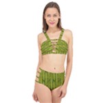 Fern Texture Nature Leaves Cage Up Bikini Set