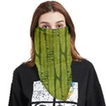 Fern Texture Nature Leaves Face Covering Bandana (Triangle)