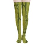 Fern Texture Nature Leaves Thigh High Stockings