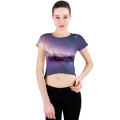 Crew Neck Crop Top 