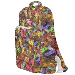 Double Compartment Backpack 