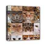 Breeds Of Cats Collage Mini Canvas 6  x 6  (Stretched)