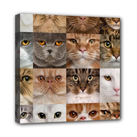 Breeds Of Cats Collage Mini Canvas 8  x 8  (Stretched) from ArtsNow.com