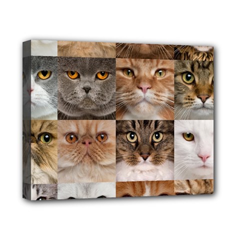 Breeds Of Cats Collage Canvas 10  x 8  (Stretched) from ArtsNow.com