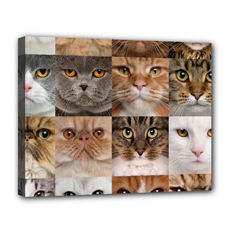 Breeds Of Cats Collage Canvas 14  x 11  (Stretched) from ArtsNow.com