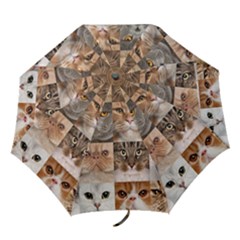 Folding Umbrella 