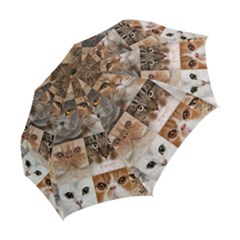 Folding Umbrella 