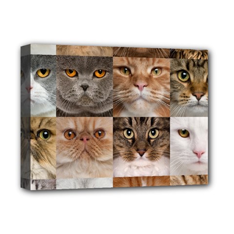 Breeds Of Cats Collage Deluxe Canvas 16  x 12  (Stretched)  from ArtsNow.com