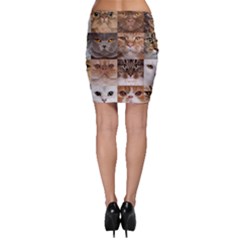 Bodycon Skirt 