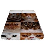 Breeds Of Cats Collage Fitted Sheet (Queen Size)