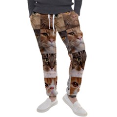 Men s Jogger Sweatpants Front