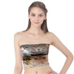 Breeds Of Cats Collage Tube Top