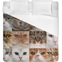 Duvet Cover (King Size) 