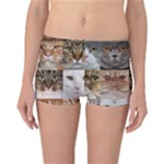 Breeds Of Cats Collage Reversible Boyleg Bikini Bottoms