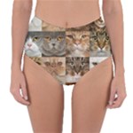 Breeds Of Cats Collage Reversible High-Waist Bikini Bottoms