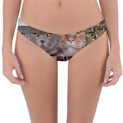 Reversible Hipster Bikini Bottoms 