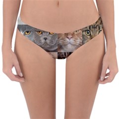 Reversible Hipster Bikini Bottoms 