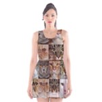 Breeds Of Cats Collage Scoop Neck Skater Dress